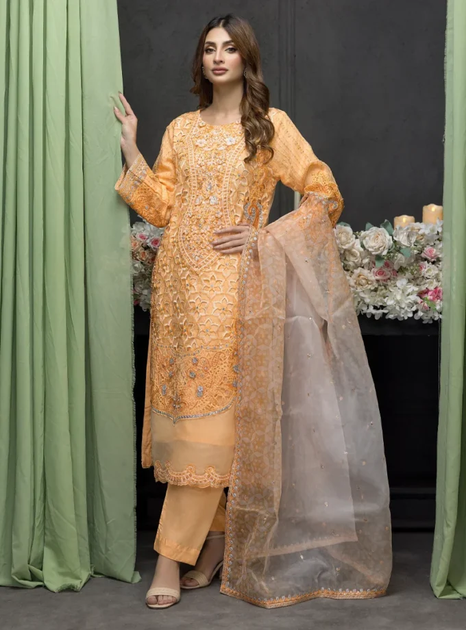 stitched-embroidered-organza-dress-feiona-zainab-fazlani-04