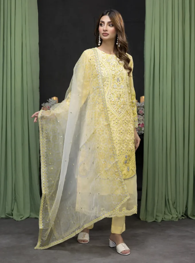 stitched-embroidered-organza-dress-feiona-zainab-fazlani-04