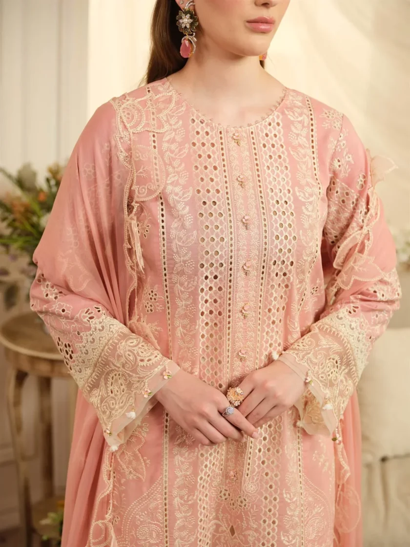 Unstitched 3Pc Printed Embroidered Lawn Dress Aneela Rizwan Blush - Image 3