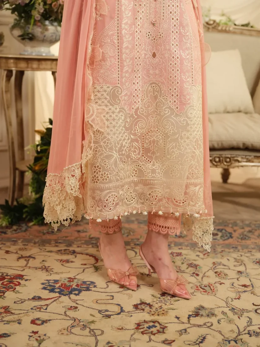 Unstitched 3Pc Printed Embroidered Lawn Dress Aneela Rizwan Blush - Image 4