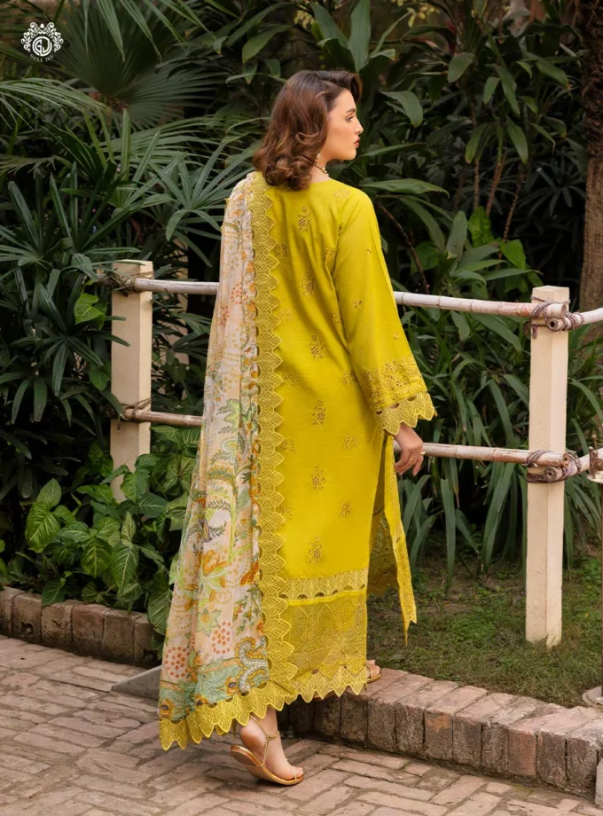 Home | Mesmeric Apparel