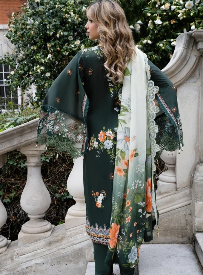 Home | Mesmeric Apparel